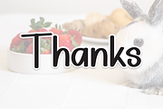 Baby Bunny | Script Font, a Handwritten Font by Scratchones (Thumbnail 9 of 9)