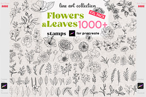 Procreate Botanical Stamp Flower Art