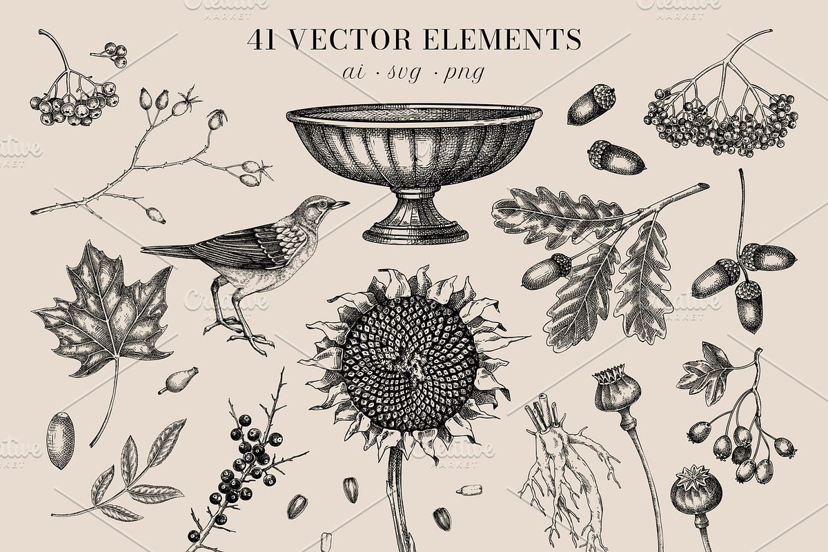 Autumn Heritage Botanical Collection, a Seasonal Illustration by Yevheniia (Photo 3 of 13)