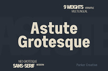 Astute Neo-Grotesque Modern Sans