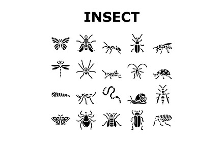 Insect, Spider And Bug Wildlife, an Industrial Photo by pikepicture