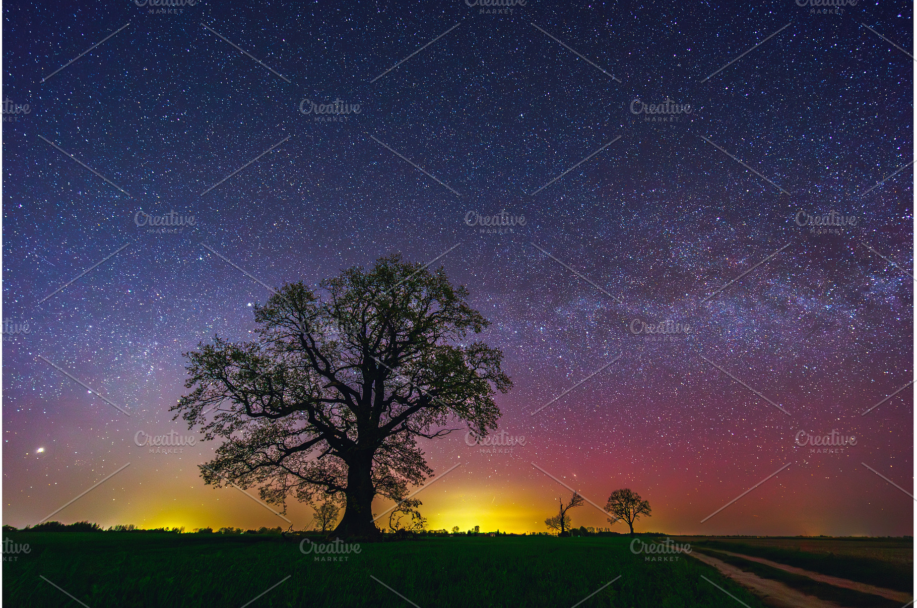 Oak tree with a Milky way galaxy, a Nature Photo by Lukas Jonaitis SHOP