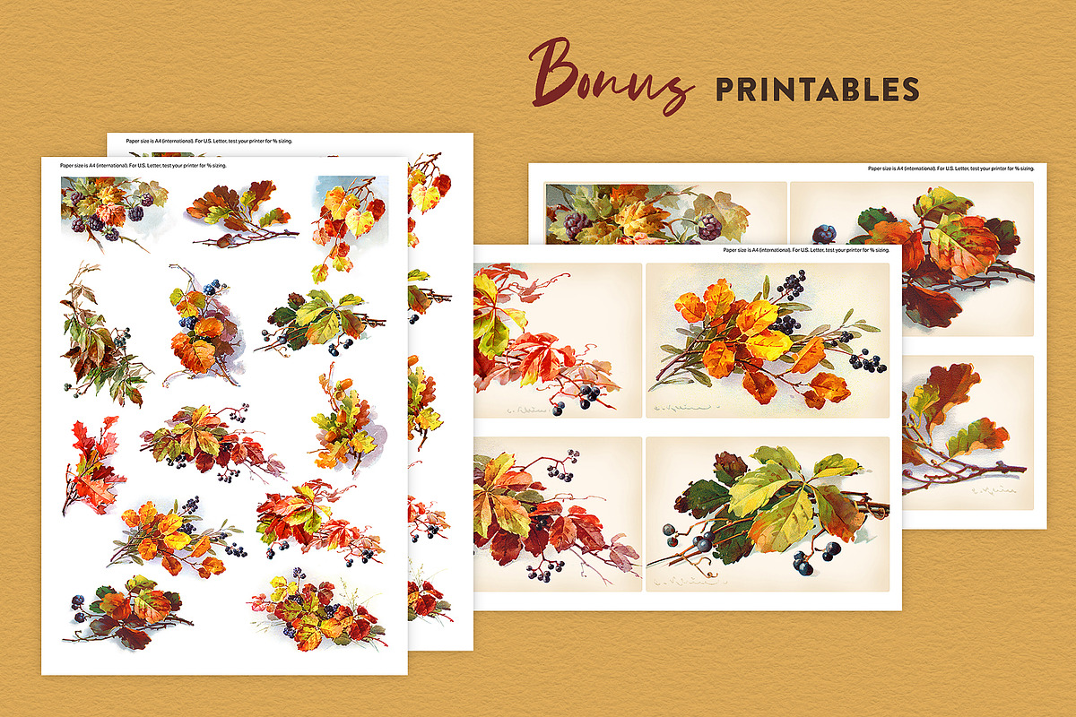 Fall Leaves and Berries, an Illustration by French Kiss Collections (Photo 6 of 7)