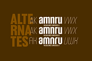 Headlines Unicase Font Family, a Sans Serif Font by TypeThis!Studio (Thumbnail 8 of 26)