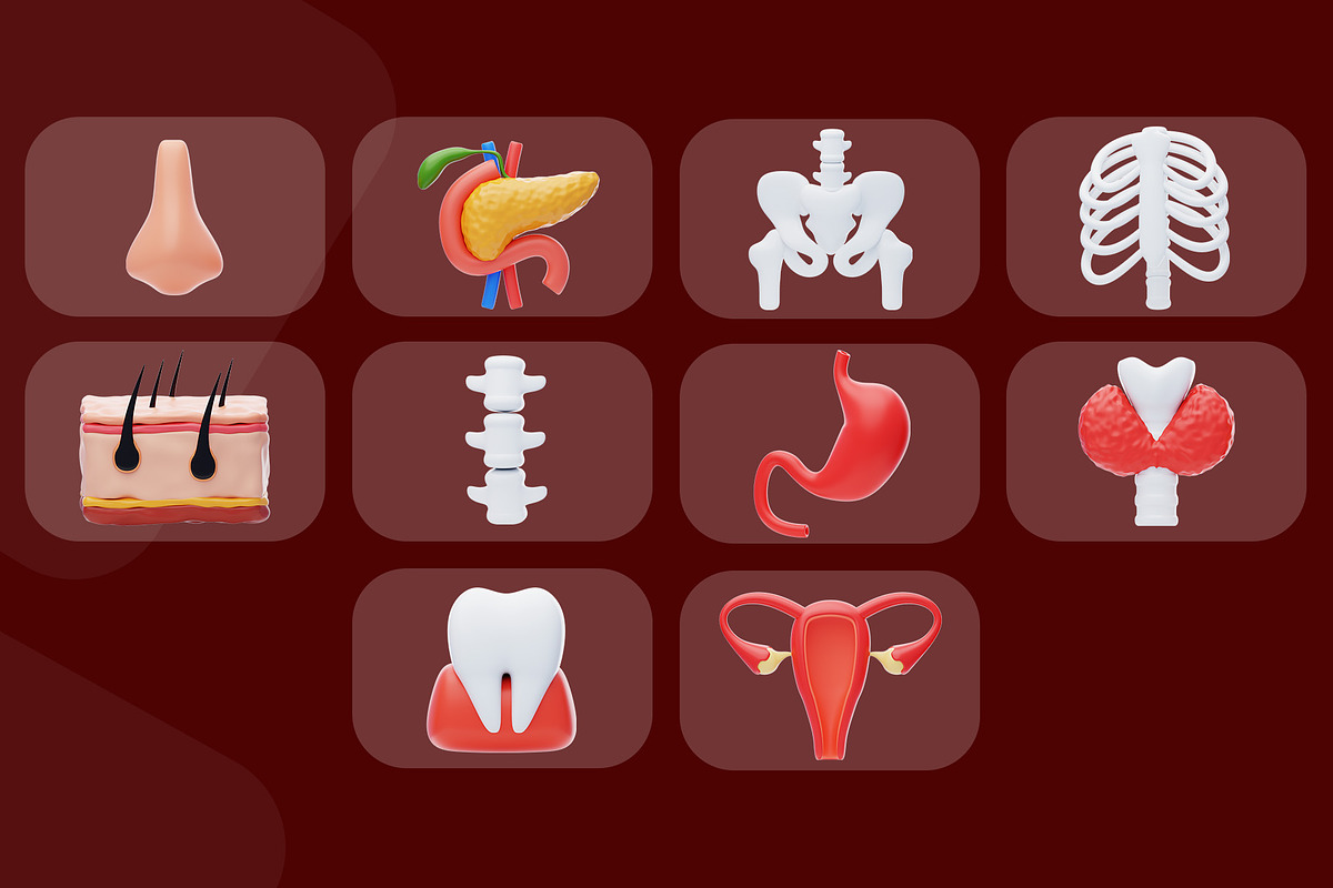 Human Organ Icon Pack, an Object 3D Model by novia99design (Photo 8 of 8)