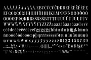 Amaris - Nostalgic Serif, a Serif Font by Craft Supply Co. (Thumbnail 7 of 8)