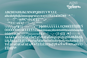 Akiho Faranea - Serif Display Family, a Serif Font by Differentialtype (Thumbnail 11 of 11)