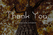 Paraoh - Classy San Serif Font, a Sans Serif Font by Inventype Studio (Thumbnail 8 of 8)