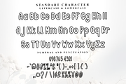 Simple Outline, a Serif Font by FreshTypeINK (Thumbnail 8 of 8)
