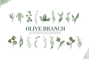 Olive Branch