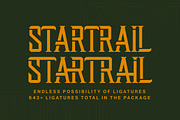 Startrail Futuristic Retro Family, a Serif Font by Lettertype Studio (Thumbnail 3 of 15)