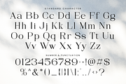 Arfide Mostera Aesthetic Serif Font, a Serif Font by Violet Natural (Thumbnail 10 of 10)