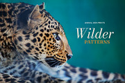 Wilder Patterns: 25 Animal Prints, a Pattern Graphic by IuliiaSavko (Thumbnail 17 of 17)
