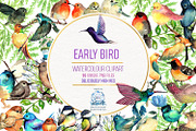 95 Bird Watercolor Clipart Graphics, an Animal Illustration by LilyBoo Clipart (Thumbnail 1 of 4)