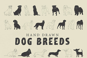 Hand Drawn Dog Breeds Vector 1, an Animal Illustration by Seaquint