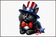4th of July Patriotic Black Cat Clip, an Illustration by Sublimation Artist (Thumbnail 3 of 6)