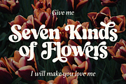 Branger - Modern Retro Serif, a Serif Font by Shakira Studio (Thumbnail 2 of 15)