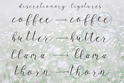 Wagon wheel Script Font, a Script Font by Kellie Jayne Studio (Thumbnail 7 of 10)