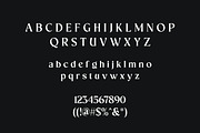 Lustrova | Classic Serif Typeface, a Sans Serif Font by Artdez (Thumbnail 4 of 4)