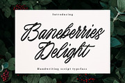 Baneberries Delight Handwriting, a Script Font by Damarletter (Thumbnail 1 of 5)