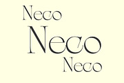 Neko Font, a Serif Font by RAHMAT (Thumbnail 4 of 5)