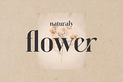 Vattea Villany Modern Serif Typeface, a Serif Font by Dylla_studio (Thumbnail 4 of 10)