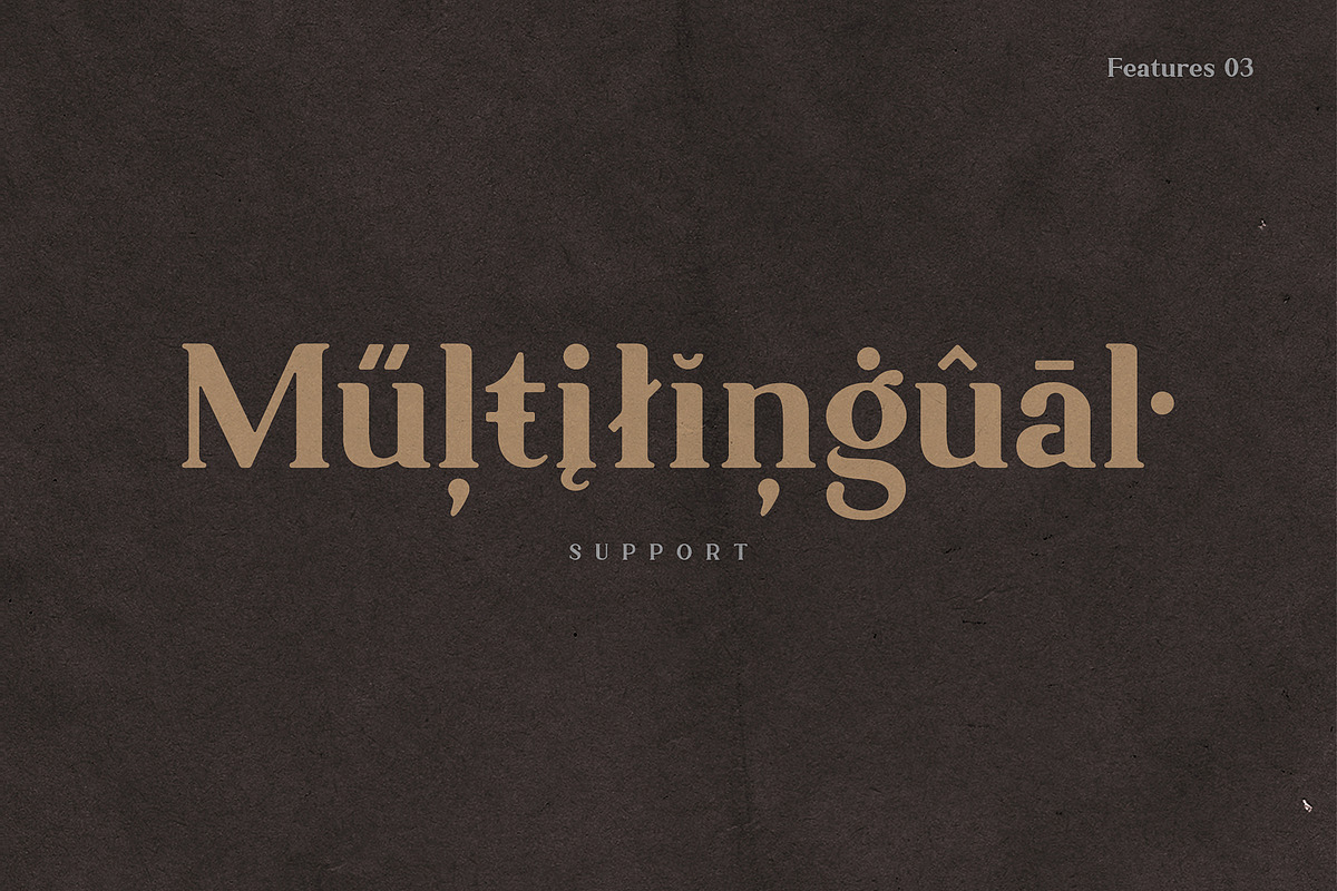 Ambigue Wild Modern x Vintage Serif, a Serif Font by Wandery Supply (Photo 13 of 22)