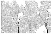 Growth - 50 Backgrounds, a Texture Graphic by GarryKillian (Thumbnail 15 of 51)