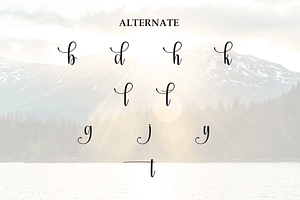 Bright Perfecly Script Font