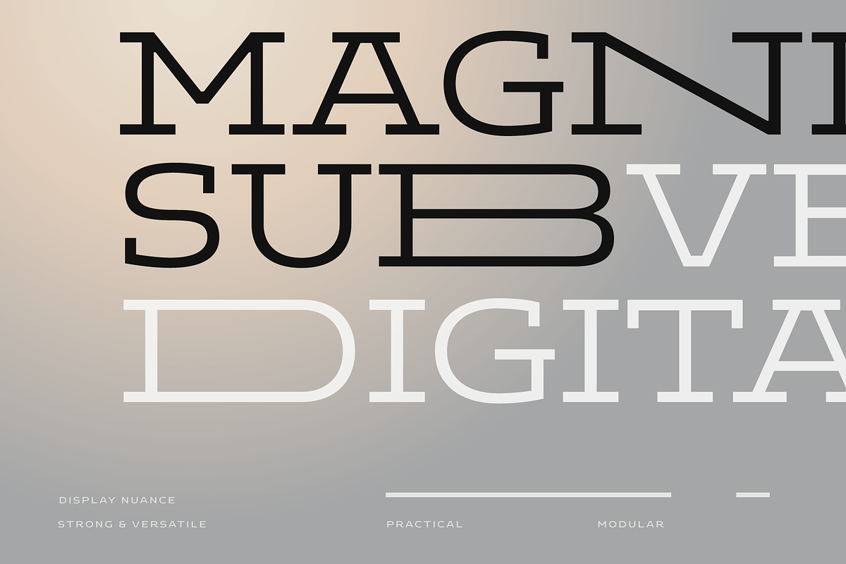 Aderos; Wide Slab Super Family, a Slab Serif Font by Eko Bimantara (Photo 6 of 13)
