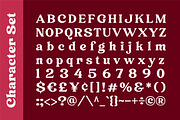 Heigan - Retro Font Family, a Serif Font by Grezline Studio (Thumbnail 11 of 13)