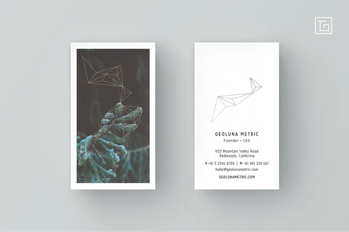GEOLUNA1 Business Card Template, a Business Card Template by TheOutcrop (Photo 1 of 6)