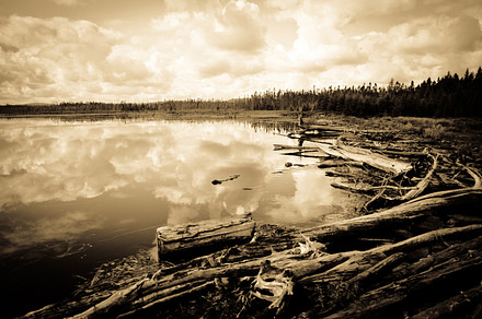 Trembling Lake