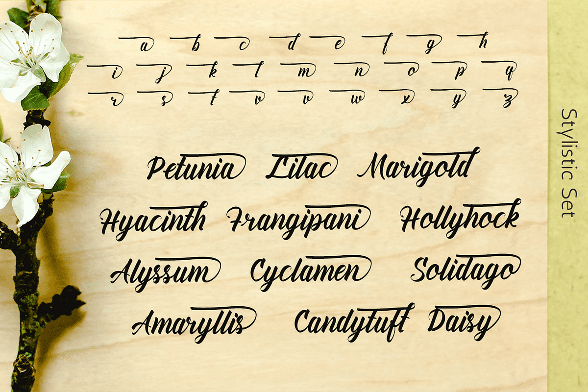 Amiable Forsythia Font, a Script Font by Letterhanna Studio (Photo 16 of 19)