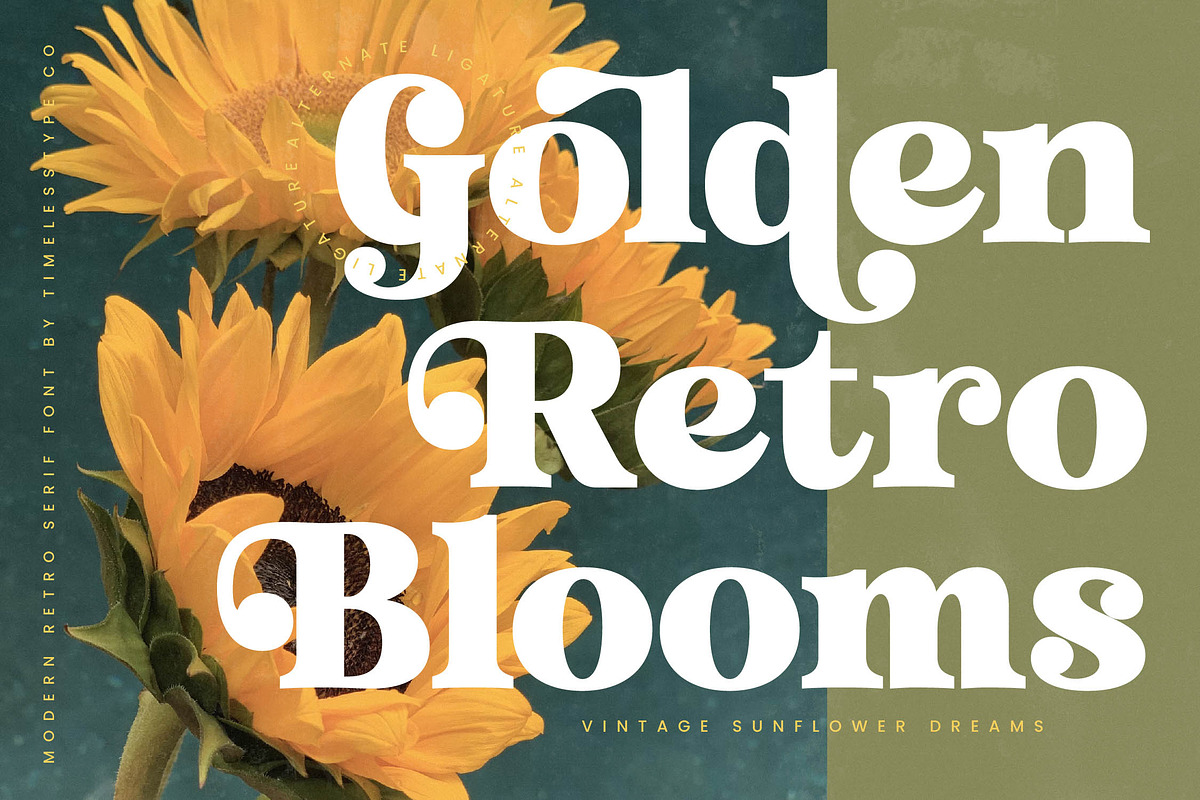 Trendy Voyage Modern Retro Serif, a Serif Font by timelesstype.co (Photo 13 of 20)