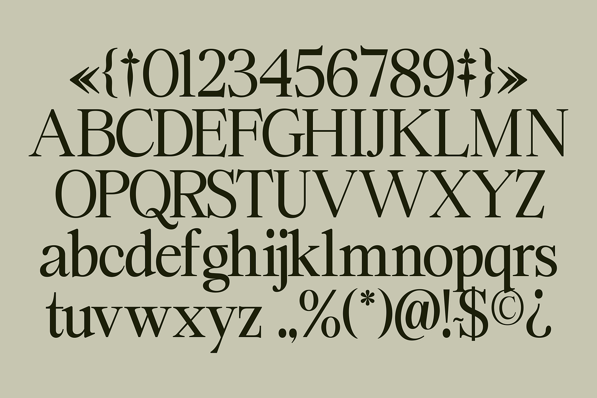 Swarsh Daisy - Elegant Serif Display, a Serif Font by Marvadesign (Photo 6 of 8)