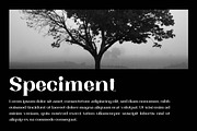 Trotty Elegant Serif Font Family, a Serif Font by Artiveko (Thumbnail 7 of 8)