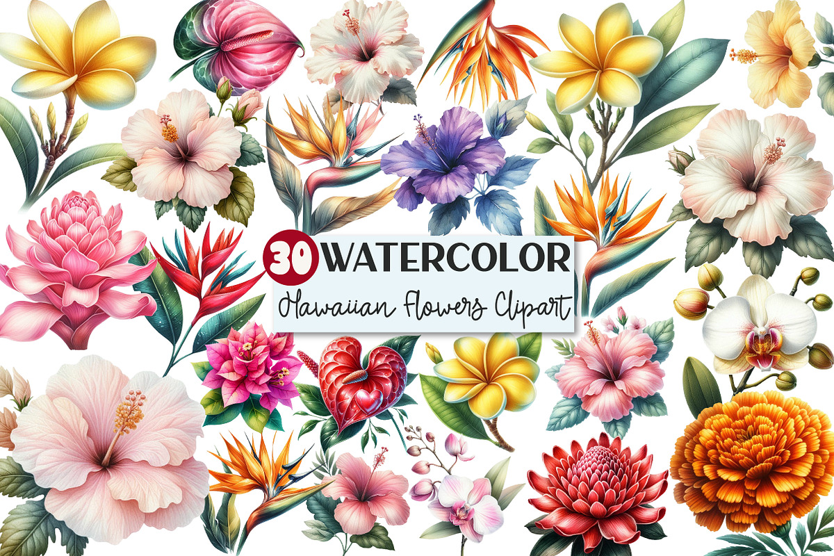 Hawaiian Flowers Watercolor Clipart, an Illustration by Rose Art (Photo 1 of 7)