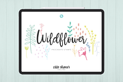 Wildflower Procreate Stamp Brushes, a Brush Add-On by Cate Shaner (Thumbnail 1 of 4)