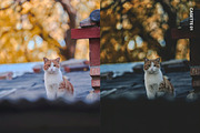 Analog Aura Lightroom Presets LUTs, a Preset Add-On by Hubzway (Thumbnail 3 of 12)
