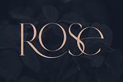 SALE! Type Master - serif font, a Serif Font by VP Fonts (Thumbnail 15 of 24)