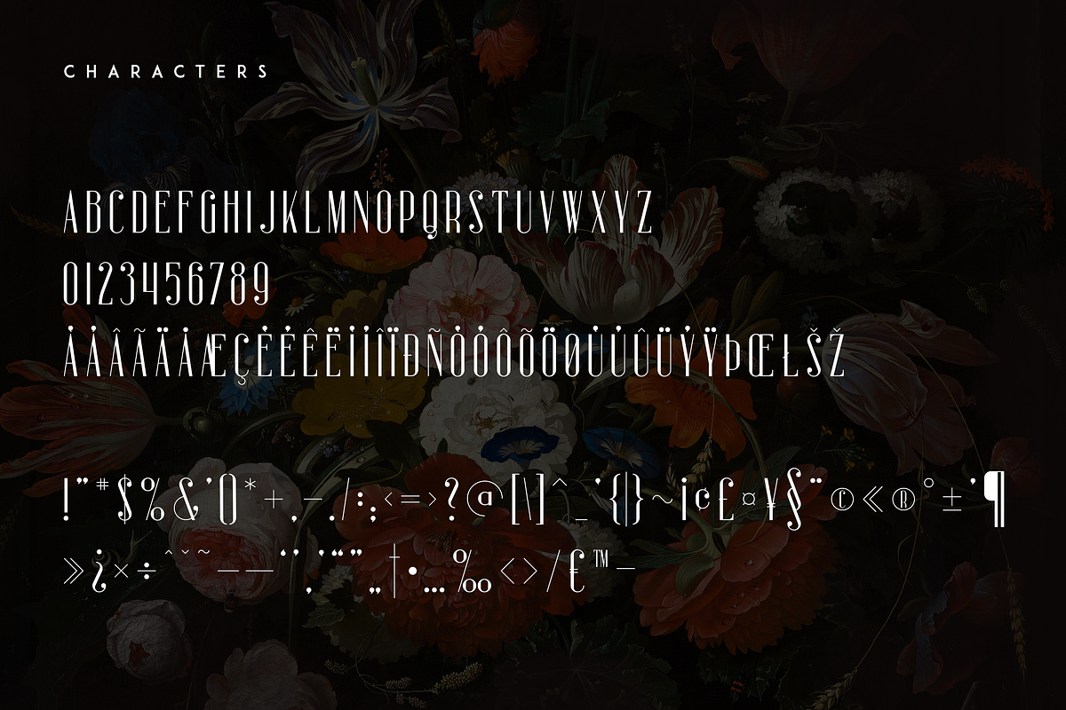 Sorcha Display font + Swashes, a Font by VP Fonts (Photo 9 of 14)