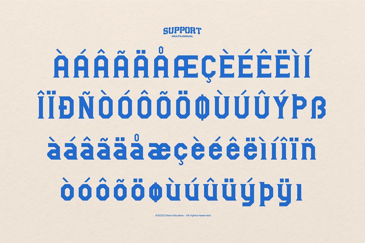 Rookie Assist | Sport Display Font, a Slab Serif Font by Denustudios (Photo 10 of 12)