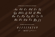 Andyra Script Font, a Script Font by Elegant Font (Thumbnail 8 of 8)