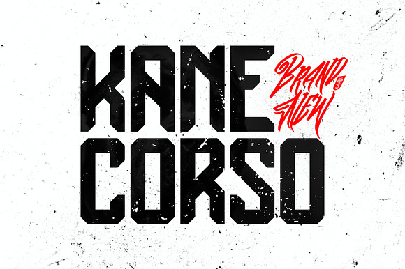 Kane Corso | off 78% before update preview 6