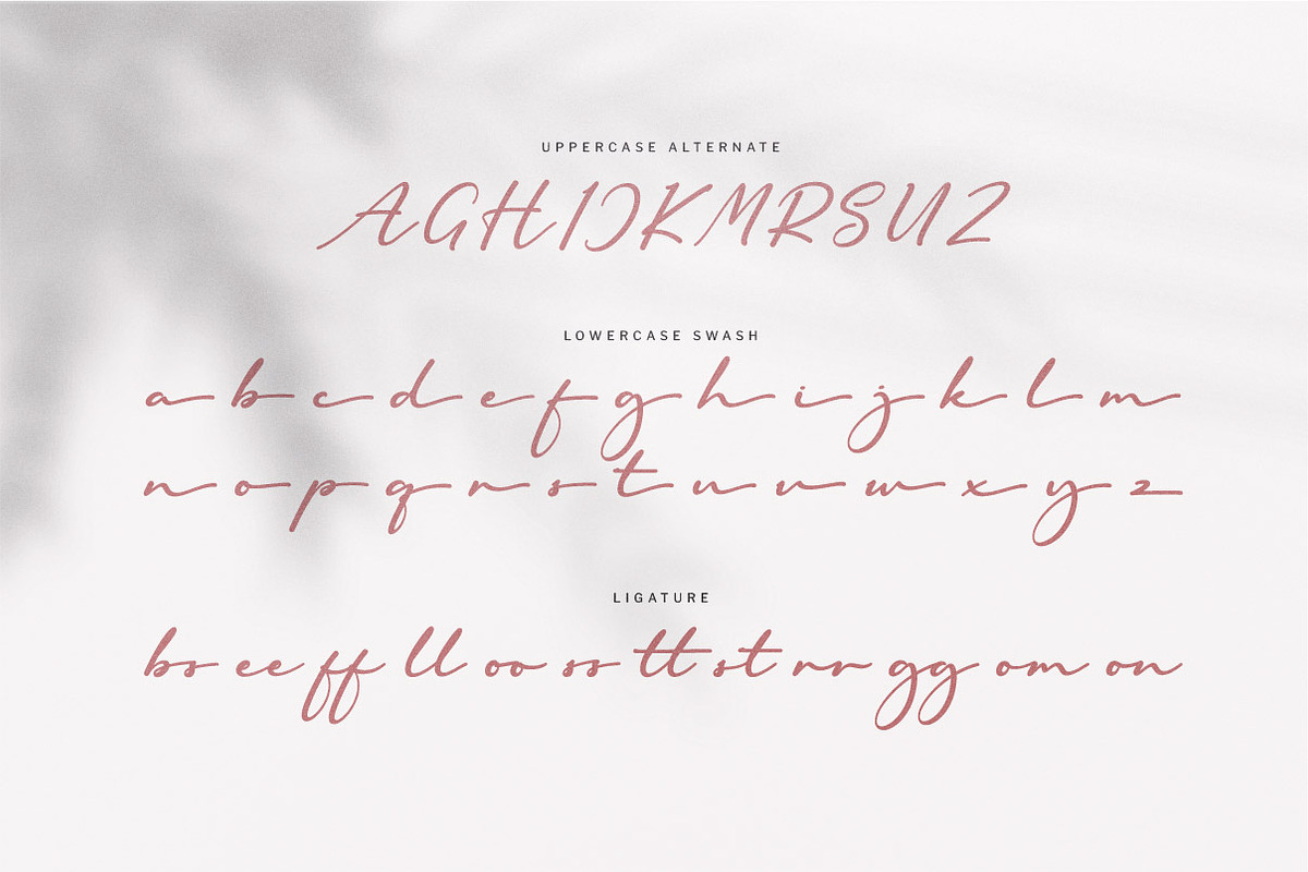 Royal Amigo | Modern Script Font, a Script Font by Ariya Works (Photo 8 of 9)