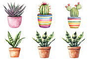 Potted Plants Clipart Bundle, an Illustration by cherrydesign (Thumbnail 2 of 3)