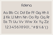 Fidena // a family font, a Sans Serif Font by Pandanwangi (Thumbnail 6 of 10)