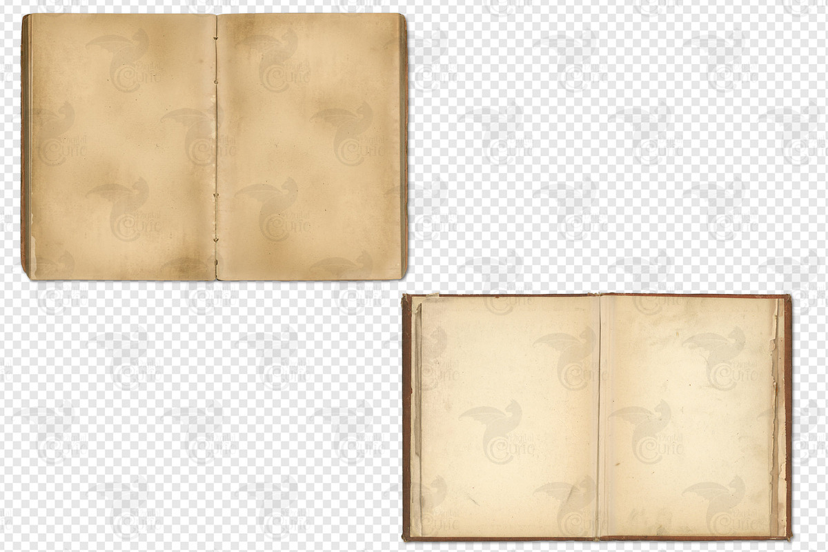 Old Open Books, a Texture Illustration by Digital Curio (Photo 3 of 3)