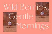 Mongre A Modern Sans Serif, a Sans Serif Font by AmorfaType (Thumbnail 9 of 10)